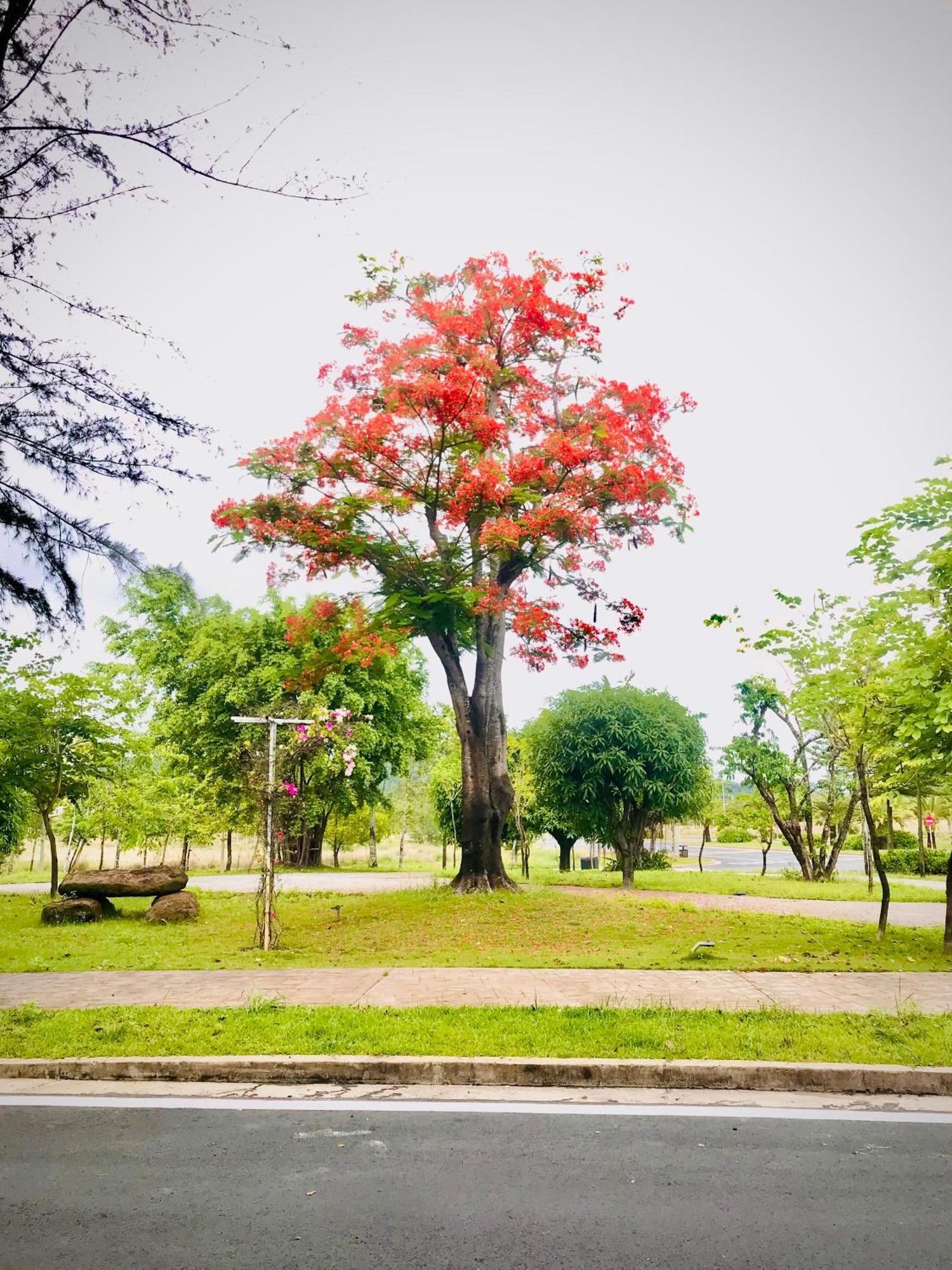 Kalia Hotel Phu Quoc Dış mekan fotoğraf