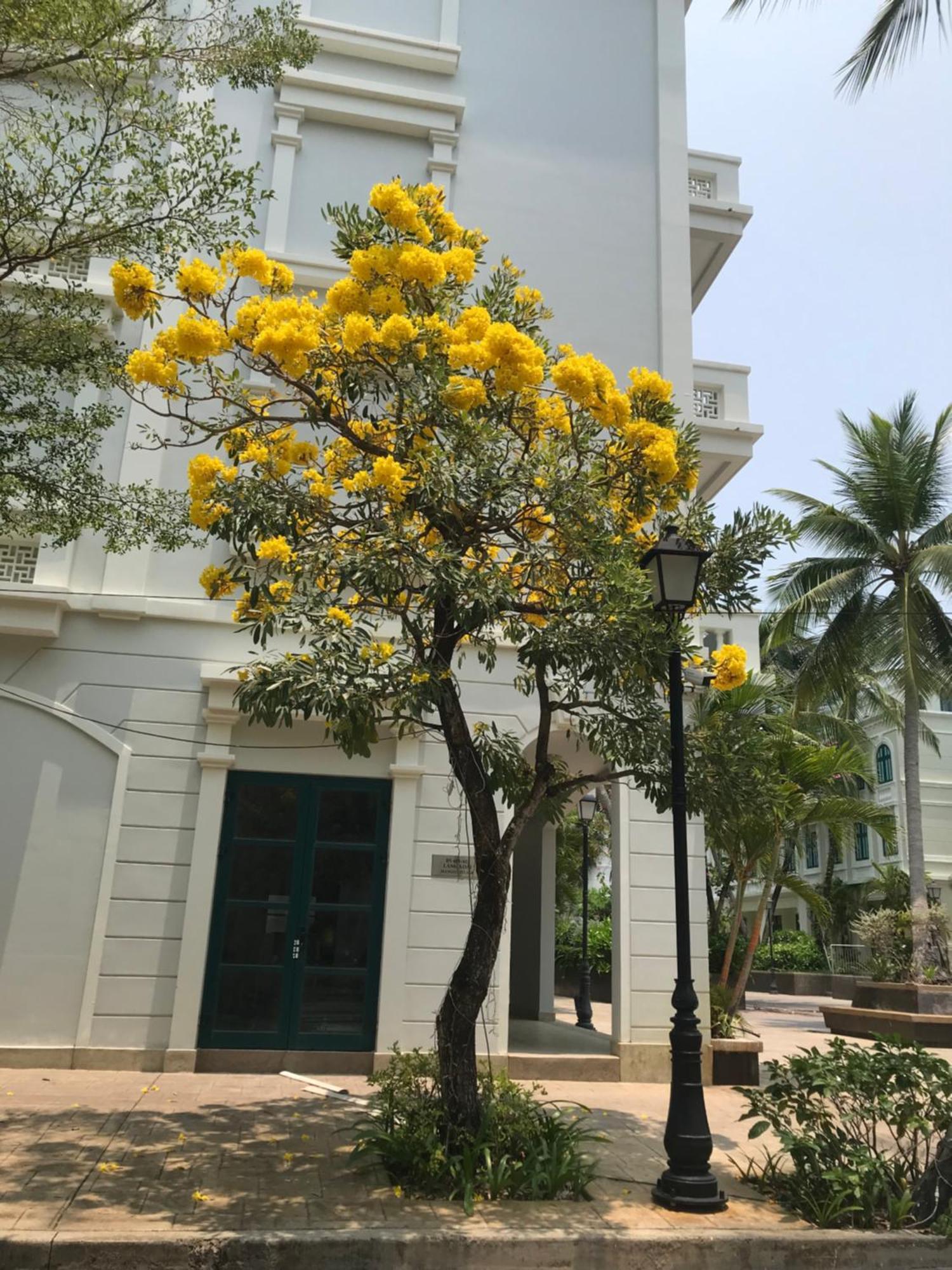 Kalia Hotel Phu Quoc Dış mekan fotoğraf